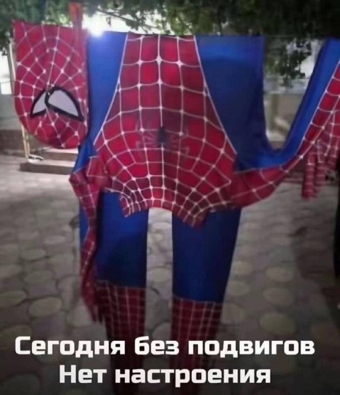 извините