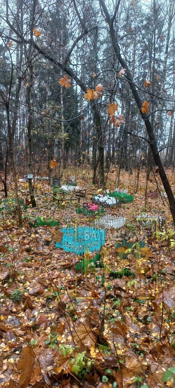 Кладбище домашних животных в Балашихе только разраста...