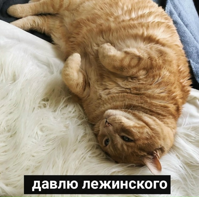 Просто я в свой выходной: