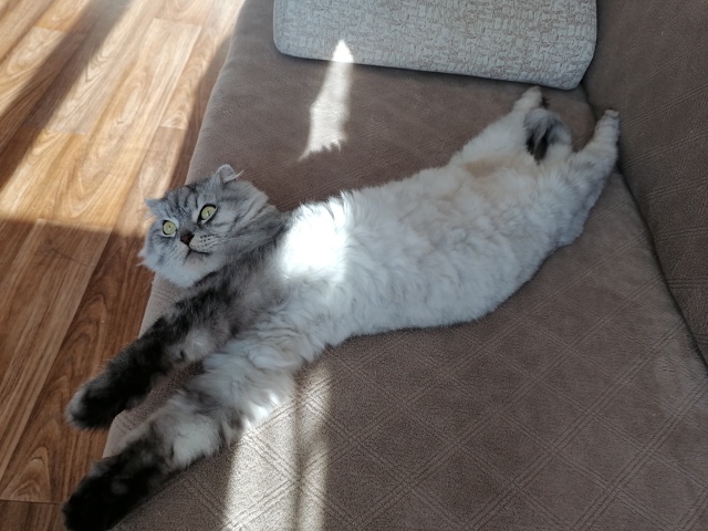 Пулька Сэм Маруся