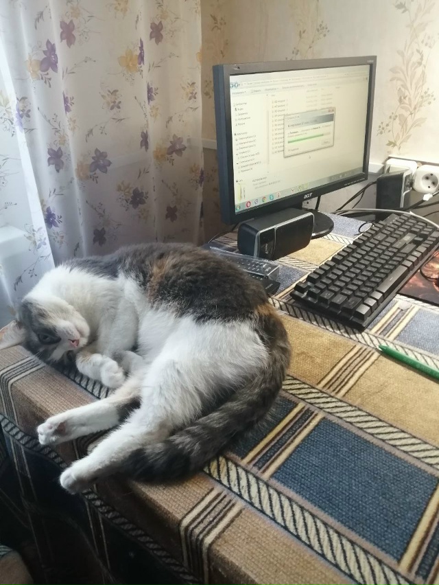 ?Сегодня, 4 октября — Всемирный день защиты животных! ...