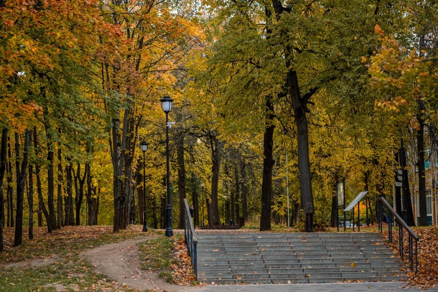 Осень в парке ... 🍂🍁 (Раменский парк 04/10/2025)