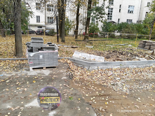 Возле 6 поликлиники, ранее (летом) спилили 8 здоровых де?...