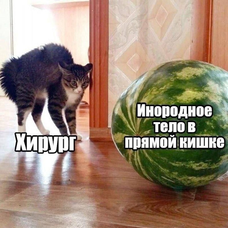 Утренняя подборочка