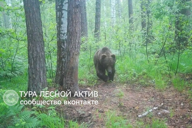 Внимание, медведь!!!
В районе 51-го. 🐻😱🚴🏼
Очевидцы ра?...
