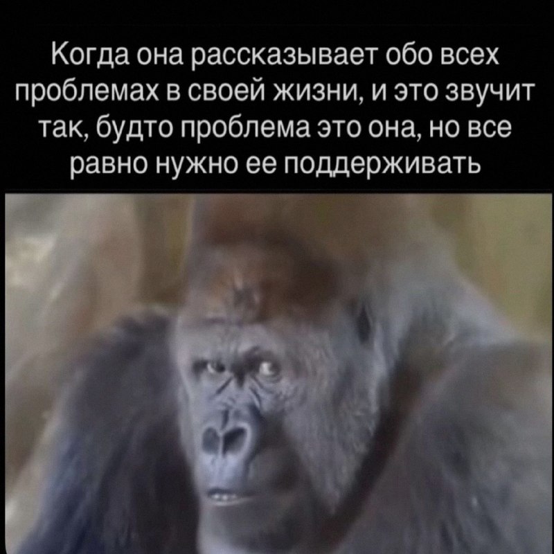 Ночная подборочка
Выходные, не спим
