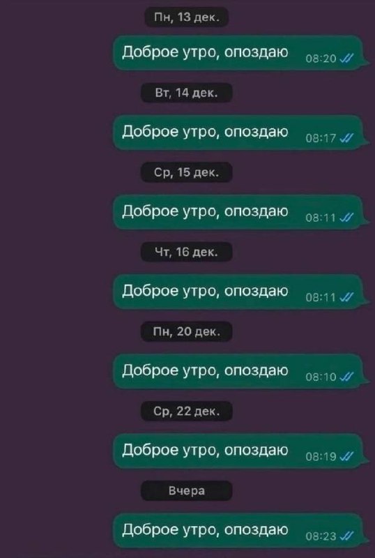 опиши себя одной фразой: