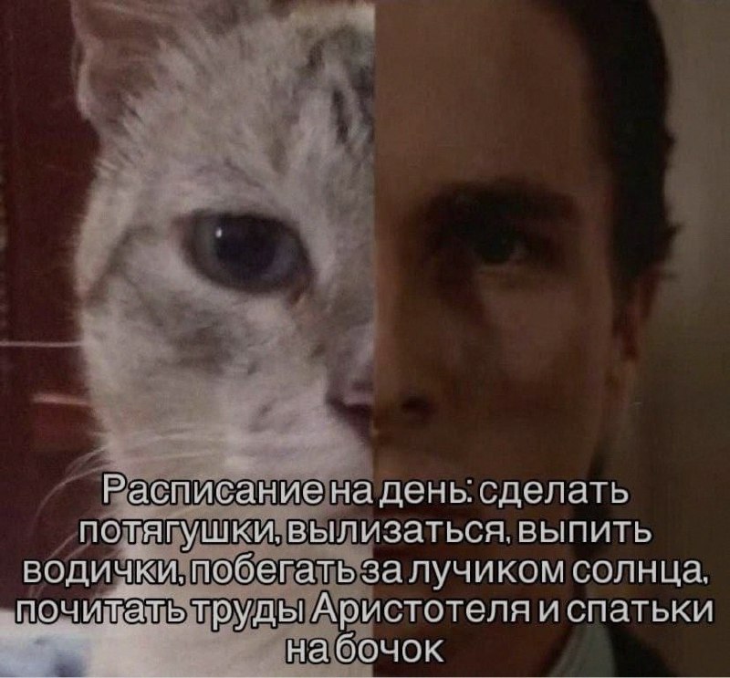 Ночная подборочка
Спать, режим