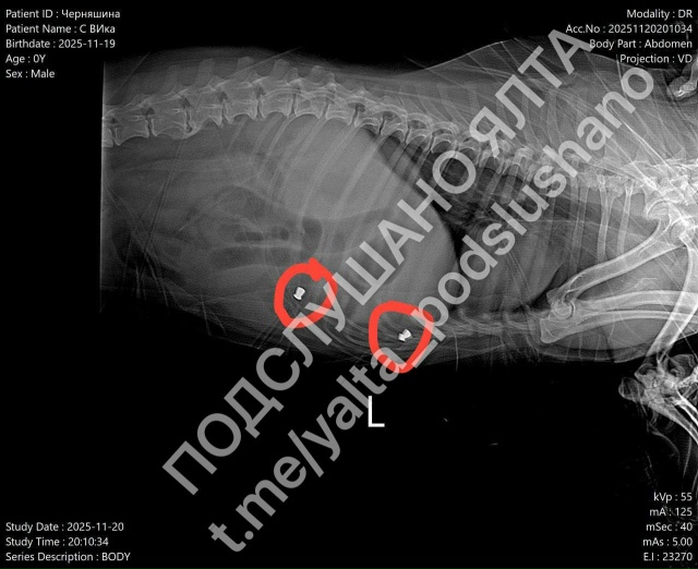 Дорогие жители города и в особенности Массандры, на фо?...