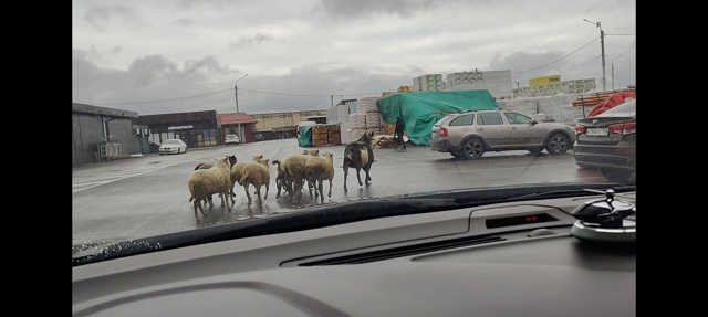 Типичный Волоколамск.
Территория строительного рынка...