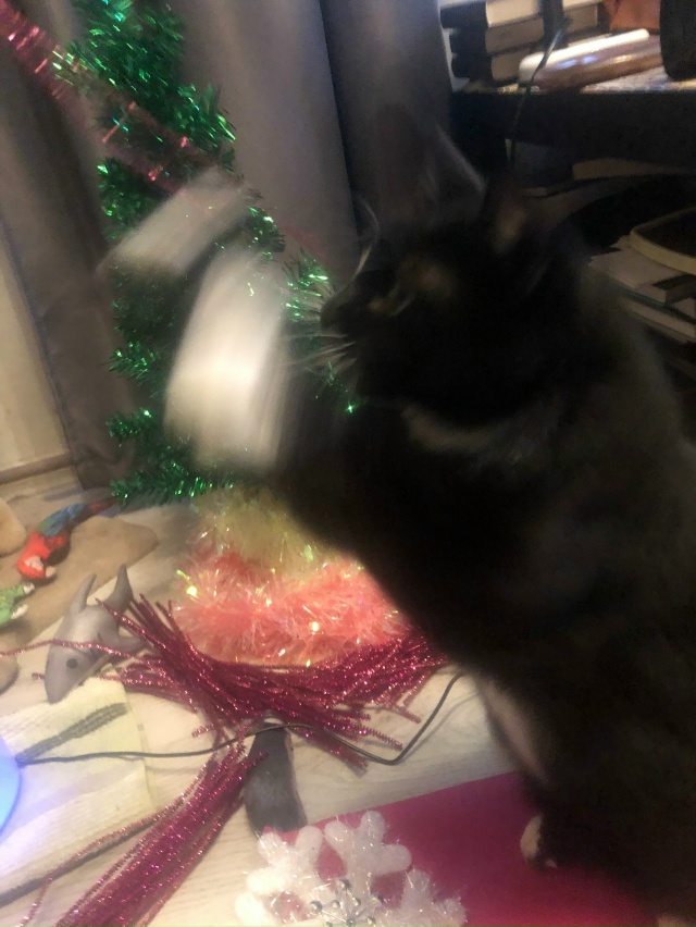 Коко Шанель: - Мяу!! Не позволю Елку убирать!!!😹