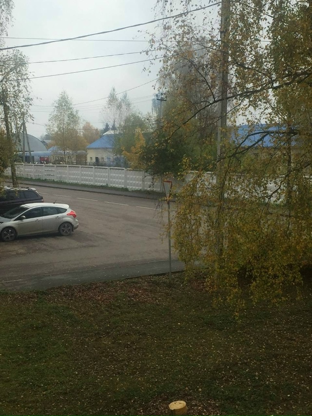 Здравствуйте!
Можно как-то повлиять на руководство АО ...