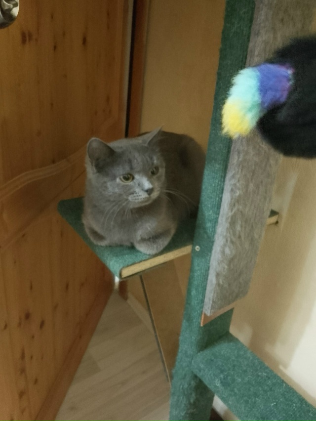 Админ выложи пожалуйста.Примерно чуть больше месяца н?...