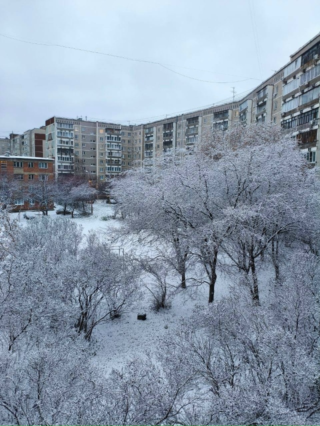 Екатеринбург засыпало снегом.
Делитесь кадрами зимне...