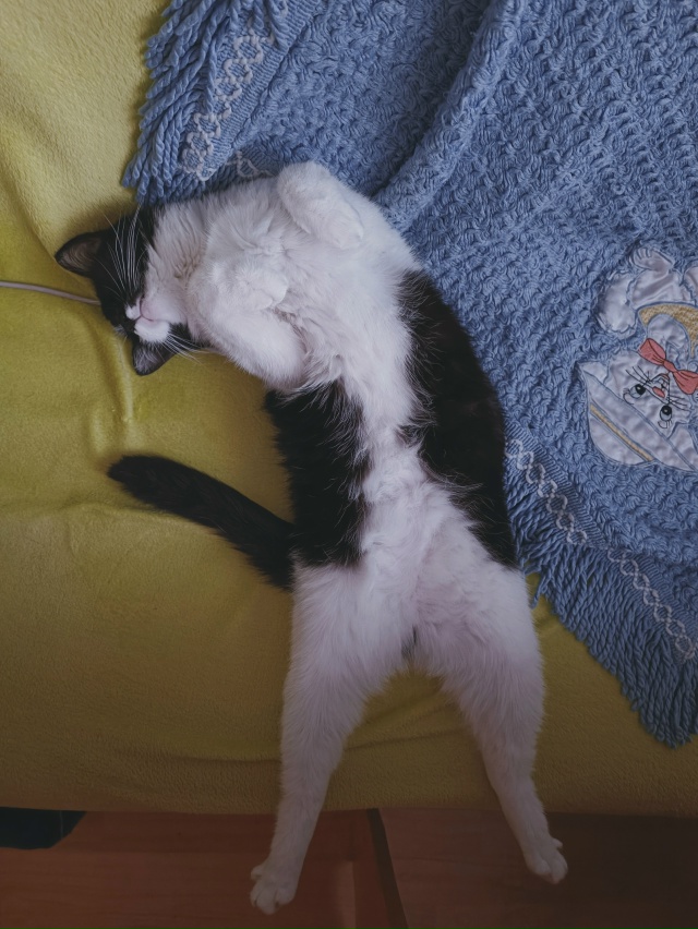 У вас кажется жилетка на животе не застёгивается)