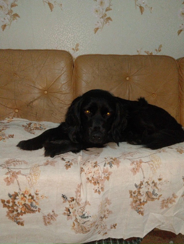 Здравствуйте уважаемые жители города Остров! Продолжа...