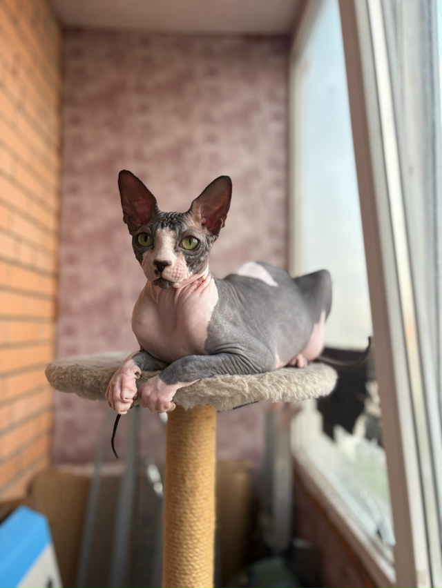 Матюша🦍❤️