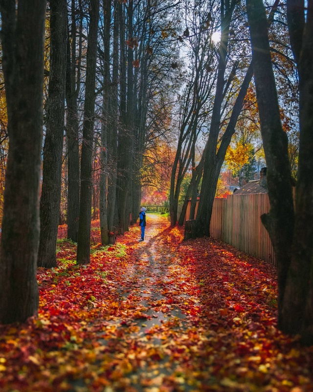 Доброе, осеннее ???
Huawei P60 Pro (lightroom)
#мобильнаяпленка...