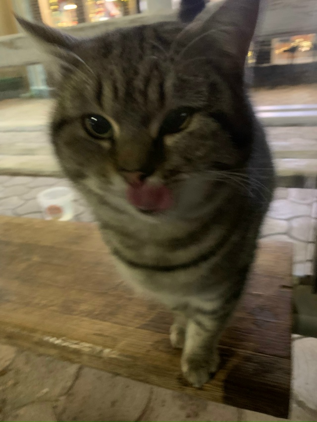 На остановке «Гормолзавод» сидит упитанный такой, шёр?...