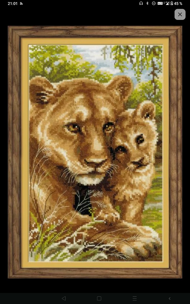 Здравствуйте скажите пожалуйста где , можно в нашем Го?...