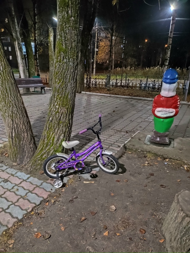 Чья потеряшка. Гномики