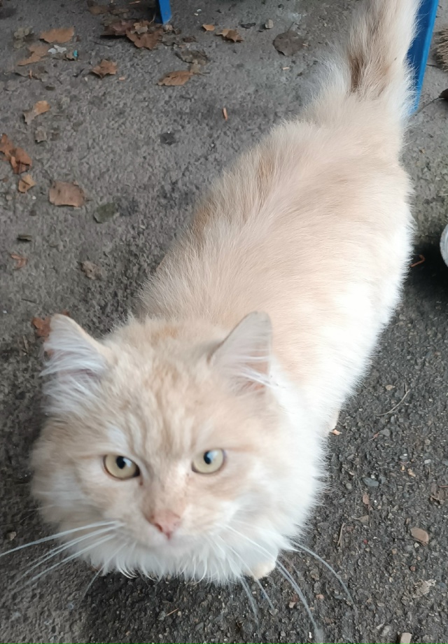 Марс ищет дом
Вашему вниманию предлагается этот брута?...