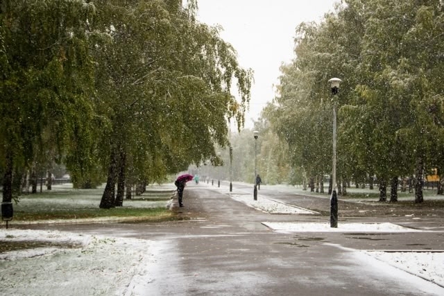 🌨️Мокрый снег и гололед прогнозируют в Оренбуржье в ?...