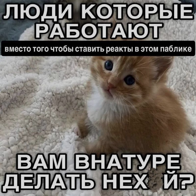 Ночная подборочка
Спать, режим