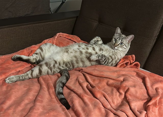 Бусин смотрит сериалы