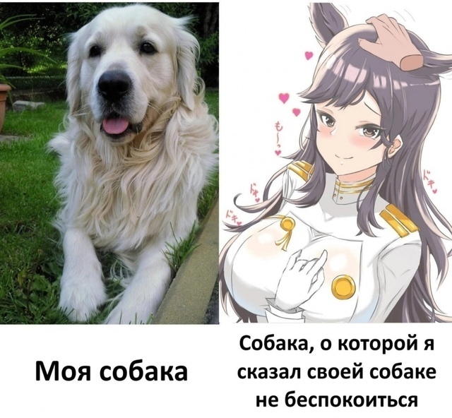 Как вам новая подборка?