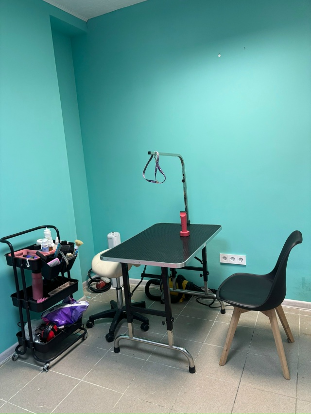 [club224000602|Груминг-студия «Мягкие лапки» г.Ухта]
Дорогие ...