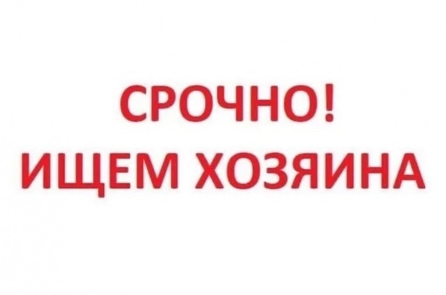 Разыскиваем собственника пер. Кожедуба, дом 2 квартира ...