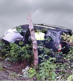 🚨 Авария под Кировском: четверо пострадавших
В ночь н...