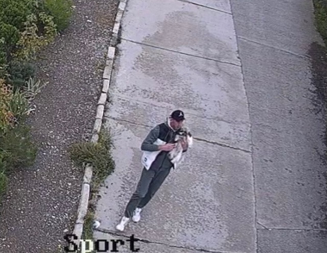 Ну что за люди? 🤬 Молодой человек на видео в 13:34 ,11.10.25
Н...