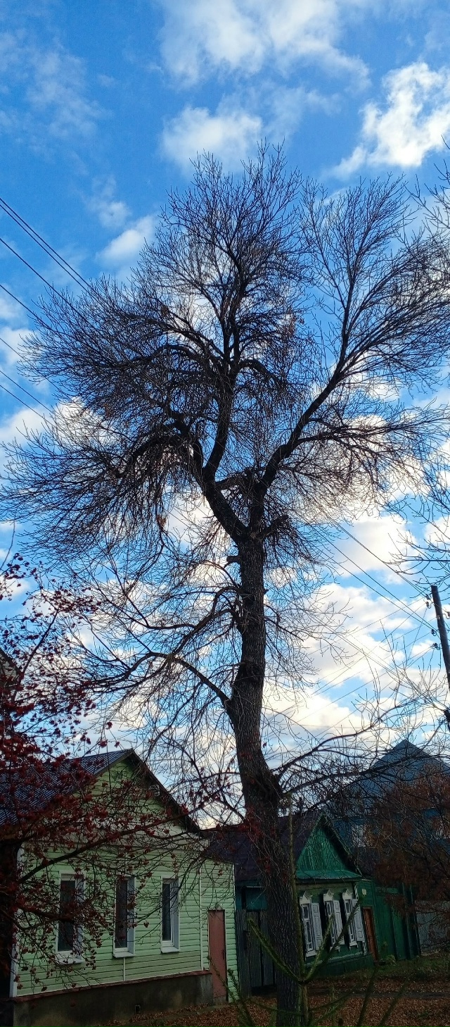 ️Доброе утро! Прогноз погоды на 1 ноября
В Оренбурге с...