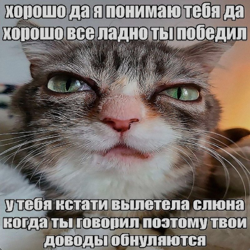 Ночная подборочка
Выходные, не спим