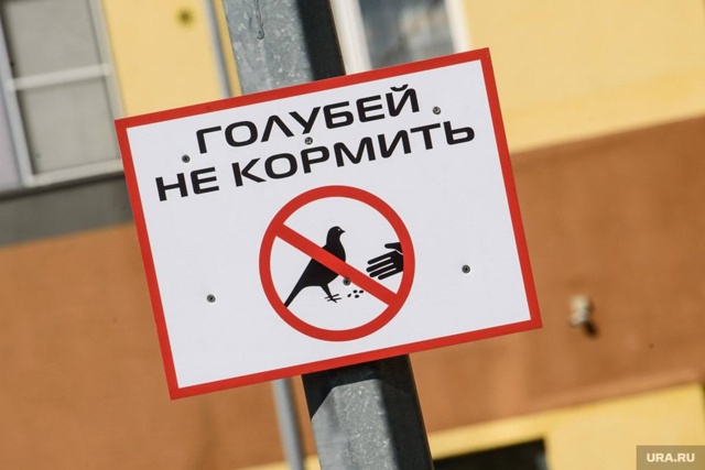 ⚡Покормил голубя – словил штраф‼️
За кормление голу...