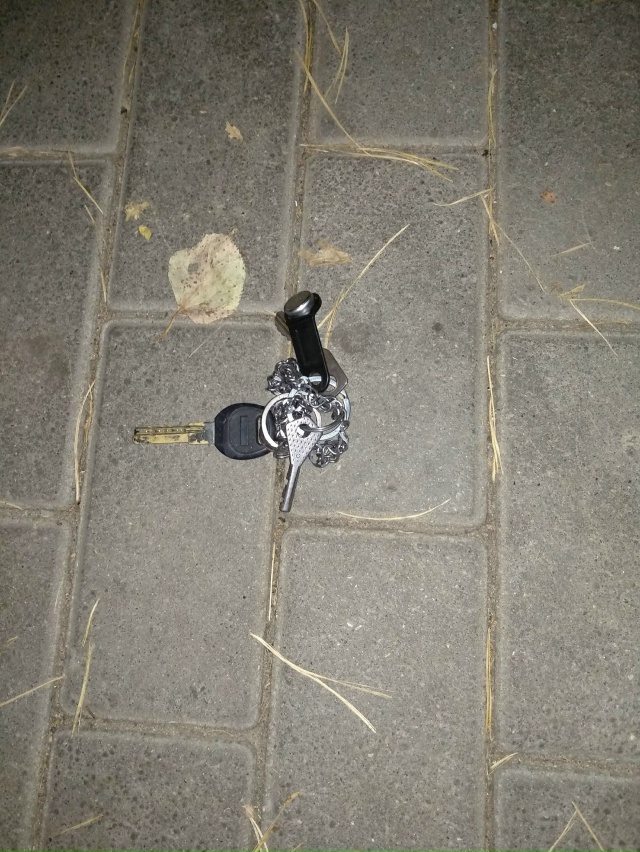 Обнаружена связка ключей возле дома 7а на, ул. Ленина (д?...