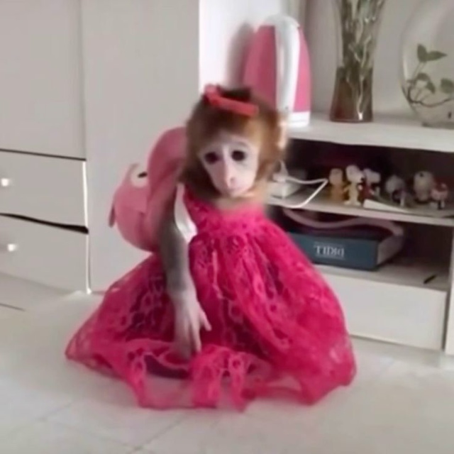 Удивительно, насколько это может быть любопытным.