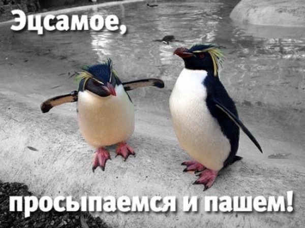 Утро доброе ☀️