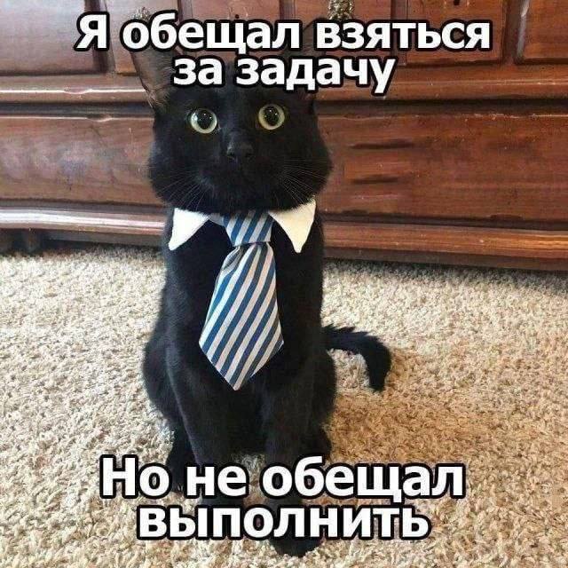 Цукерберг заплатил 24-летнему айтишнику ₽20 млрд, чтобы тот работал на него 4 года — но есть нюанс:
