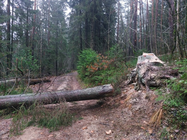 Сегодня утром обнаружила объявление о том, что вход в О...