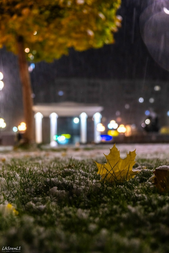 Когда выпал первый снег в Чайковском?
- 01.11.2024
- 23.10.2023
- 29...