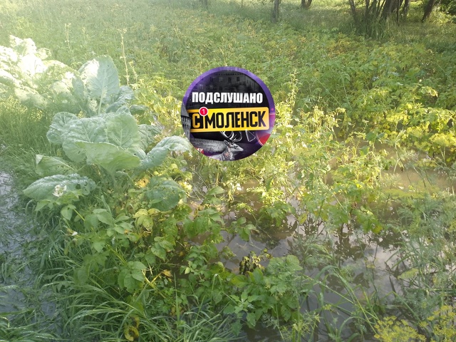 Вот так в городе Ельня сделали тротуар по улице Ленина ...