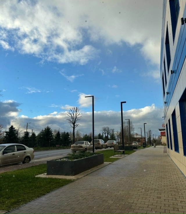 При субботней (вчера было) прогулке в центре народа не ?...