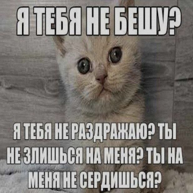 Ночная подборочка
Выходные, не спим