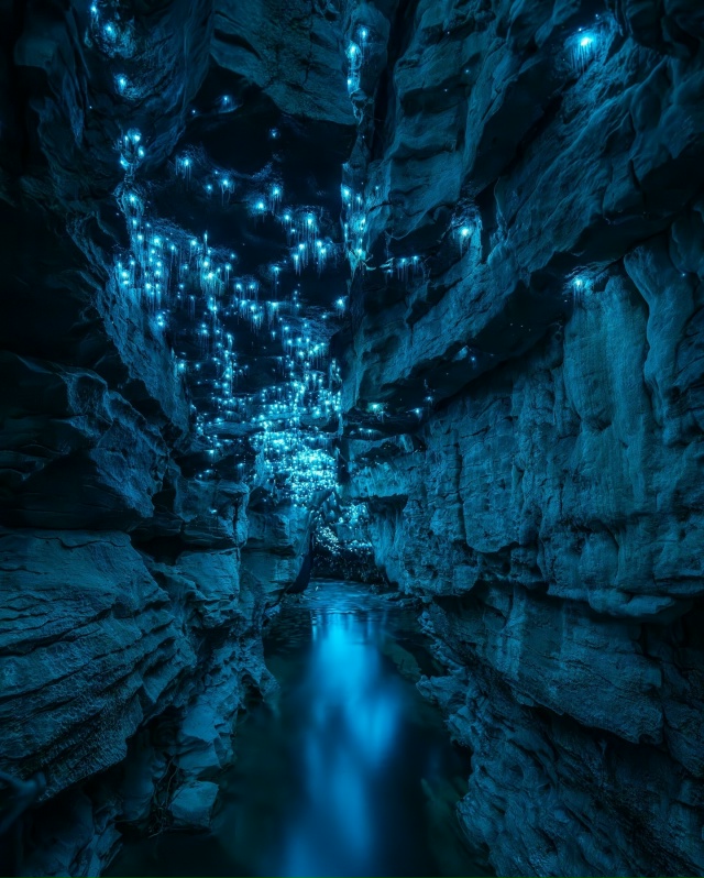 Единственные нормальные комары.