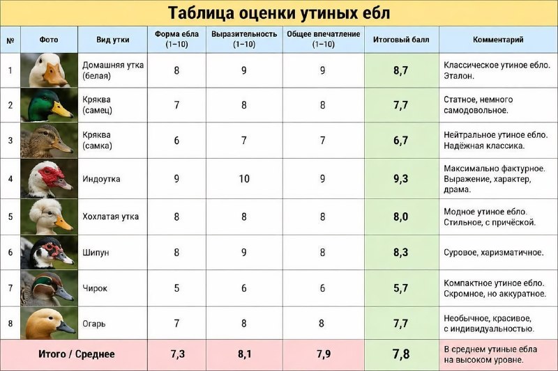 Какой ты сегодня?