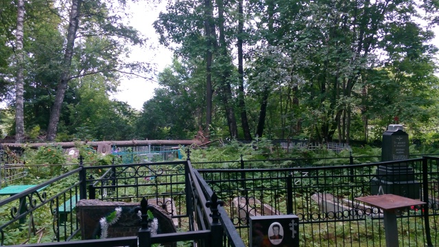 Здравствуйте, на старом кладбище опять упали деревья. ?...