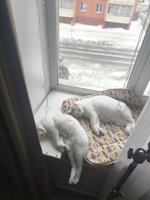 Ctrl c ctrl v получается